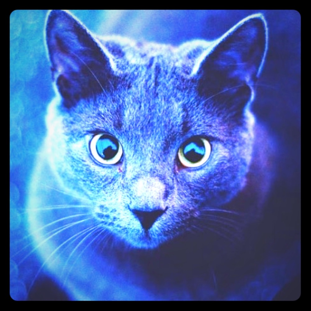 Meet your Posher, Alexa